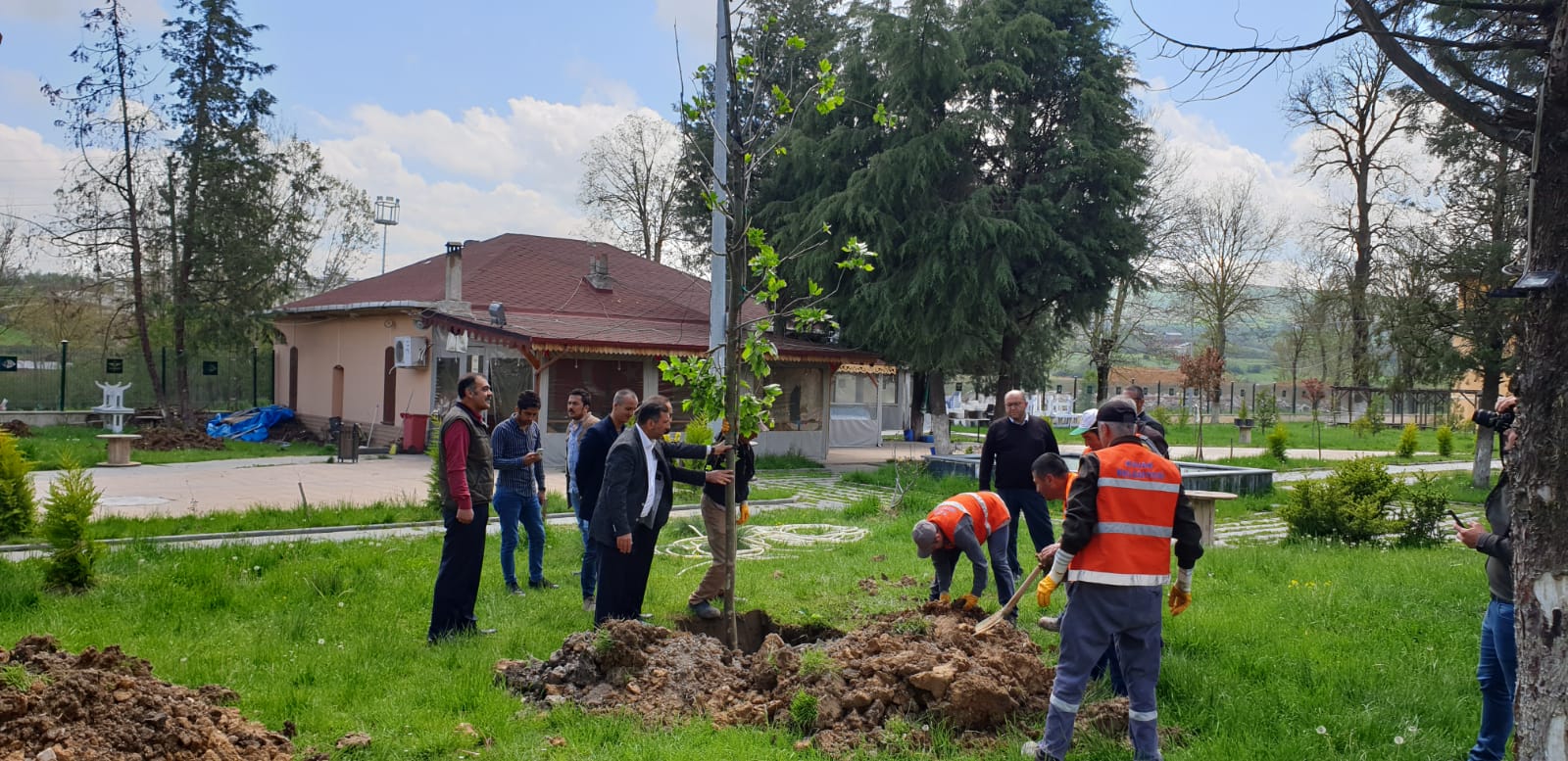 KAVAK, YEŞİL ATAĞA GEÇTİ